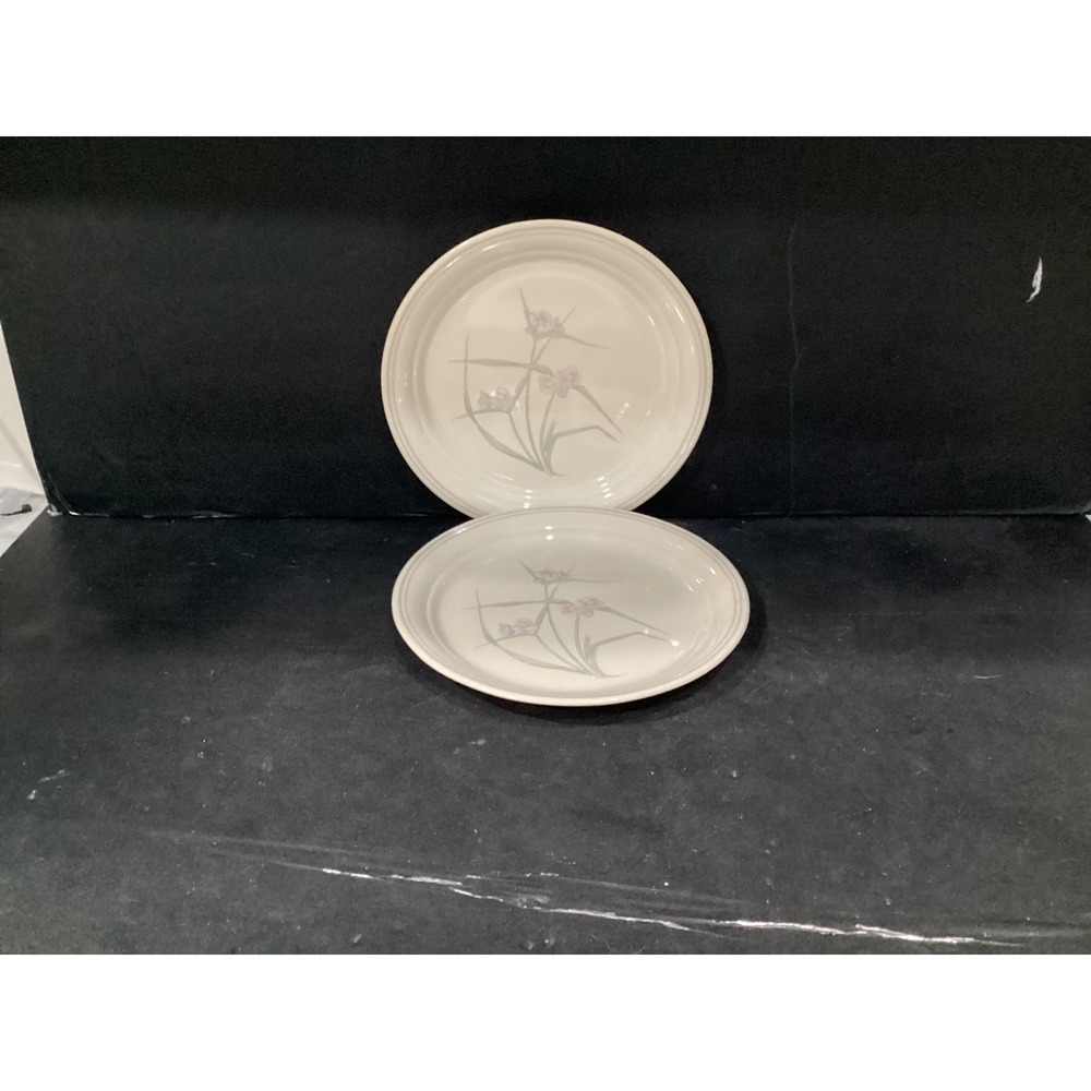 Lot of 2 Corelle Corning Spring Pond Luncheon Salad Plates